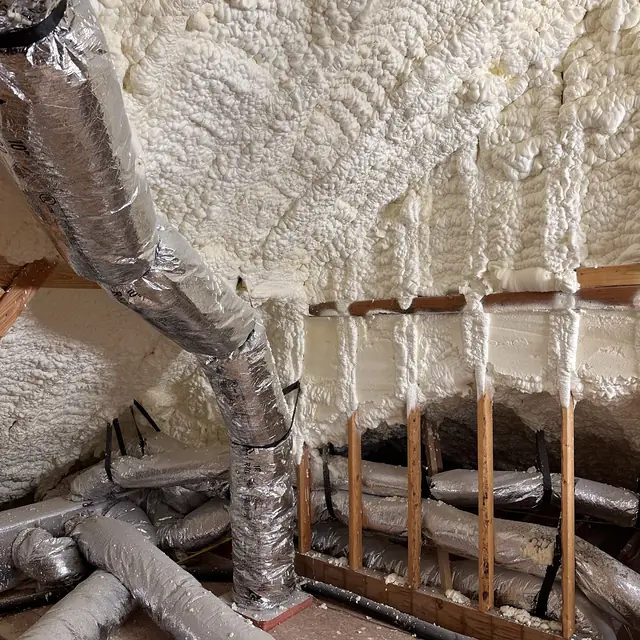 Hill Country Bungalow photo 33